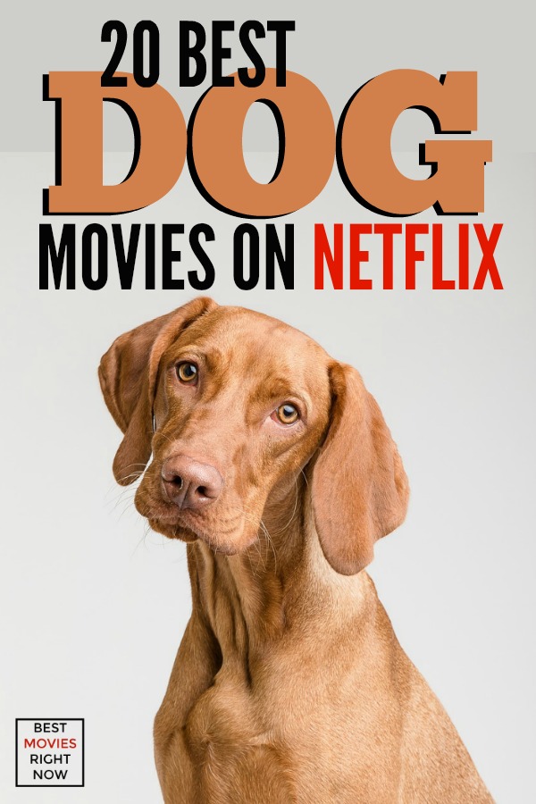 These dog movies on Netflix will give you all the feels. Whether you’re a dog owner or just a dog lover, these movies are heart-warming and funny.