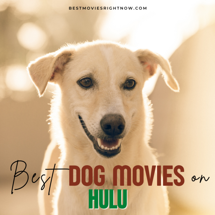 9 Best Dog Movies on Hulu - Best Movies Right Now