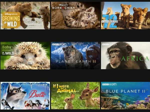animal movies on Netflix