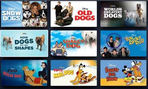 15 Best Dog Movies on Disney Plus Best Movies Right Now
