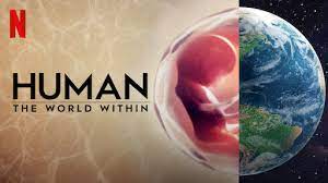 a netflix cover of movie entitled "Human: The World Within"
