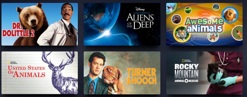 Animal Movies on Disney+ - Best Movies Right Now