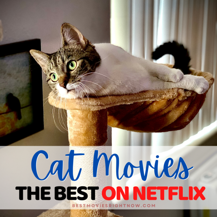 13 Best Cat Movies on Netflix - Best Movies Right Now