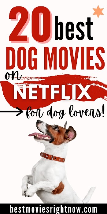 20 Best Dog Movies on Netflix for Dog Lovers - Best Movies Right Now