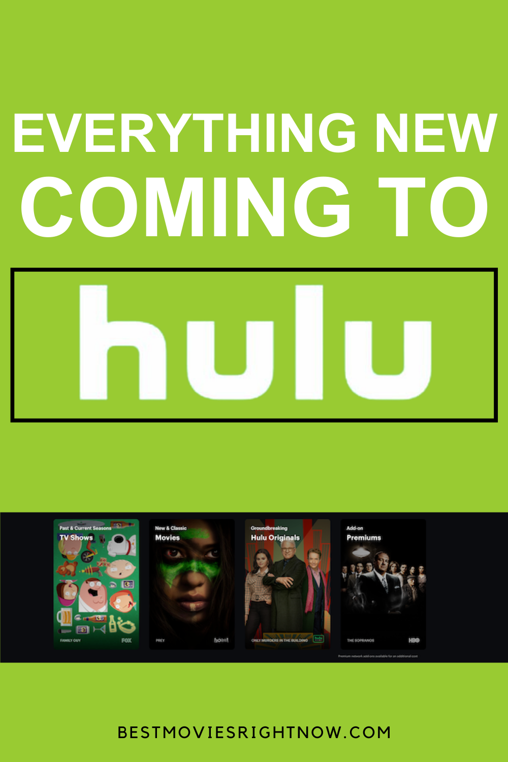 New on Hulu-pin