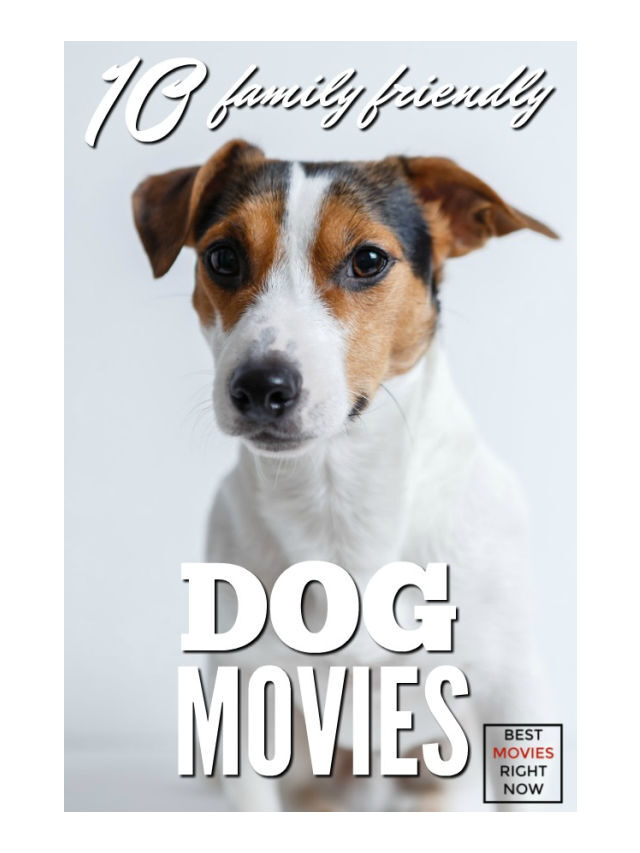 20 BEST DOG MOVIES ON NETFLIX FOR DOG LOVERS