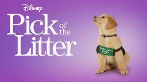 image of Dog Reality TV Show 'Pick of the Litter'