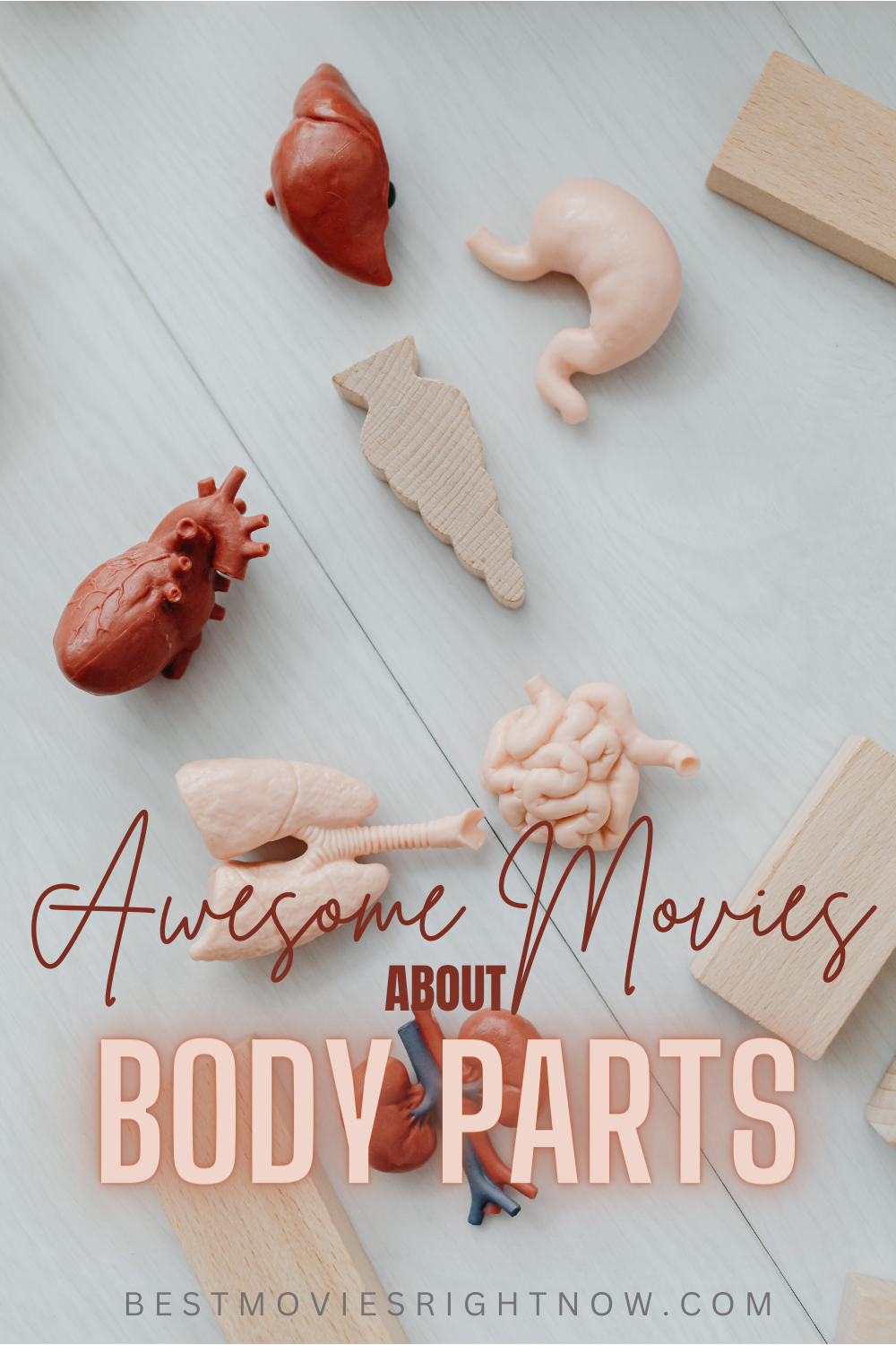 a picture of human organ models with caption "Awesome Movies About Body Parts"