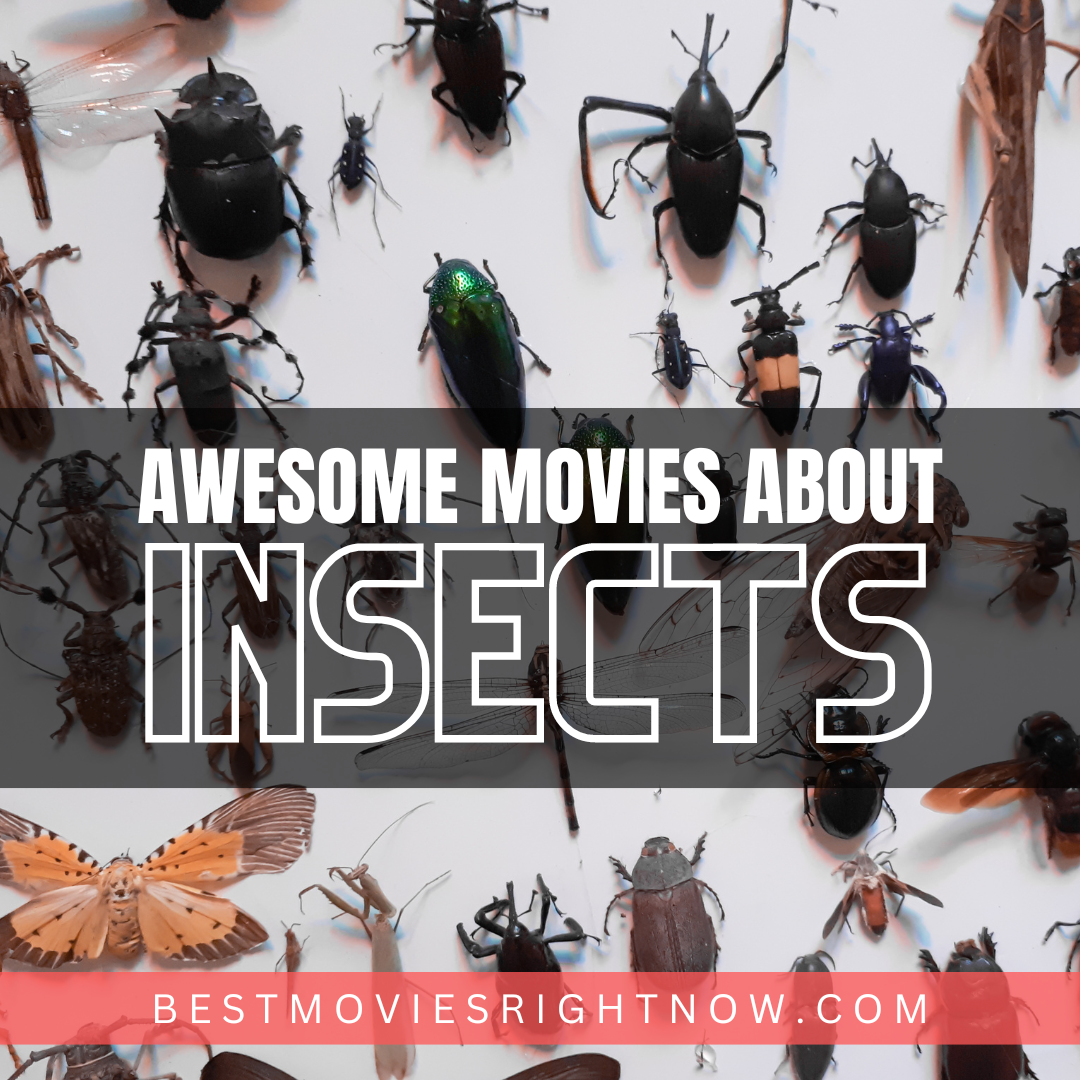 a picture of different insects with caption 