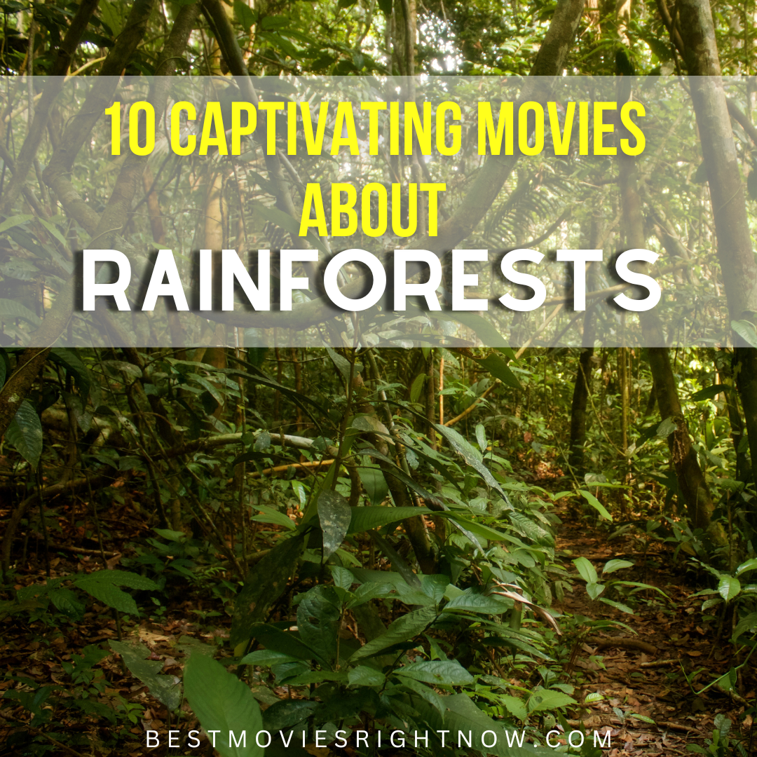 a picture of a rainforest with caption 